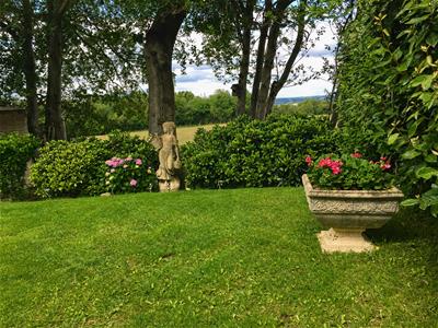 Picture 21